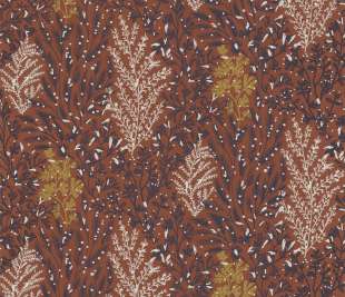 CASAMANCE_74350426_web