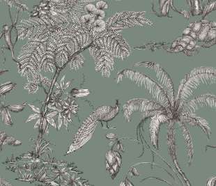 Moa-juniper_240-68_web