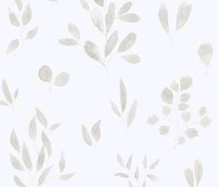 Belle-Sheer-Grey-242-21-B1