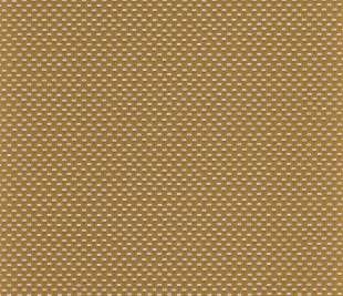 CASAMANCE_74460408_web