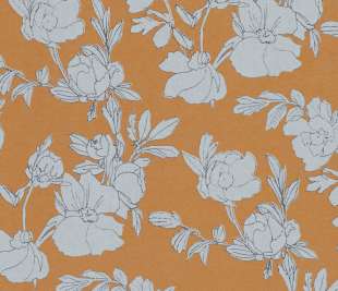 BORAGE_Tangerine_SPI230221