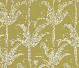 HO_Lime_Green_SPI230123