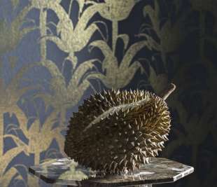 TdV_SPICE_Photo_Ho_Charcoal_SPI230130