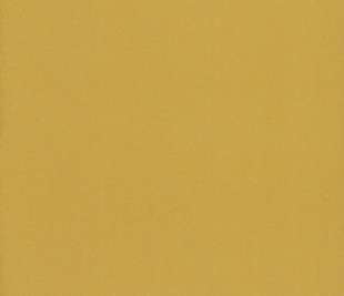 JOY_Lime_Green_SPI230423