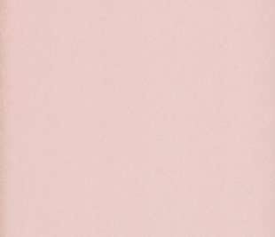 JOY_Powder_Pink_SPI230411