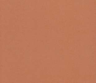 JOY_Tangerine_SPI230421