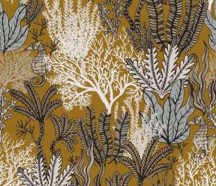 CASAMANCE_74700304_web