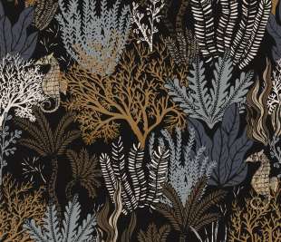 CASAMANCE_74700406_web