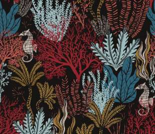 CASAMANCE_74700508_web