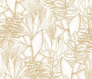 CASAMANCE_74710610_web