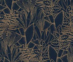 CASAMANCE_74710814_web