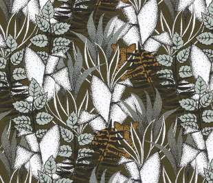 CASAMANCE_74731734_web