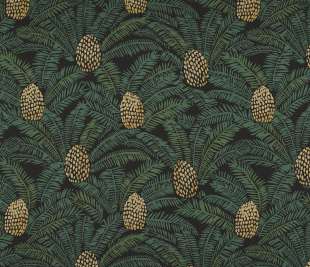 CASAMANCE_74741942_web