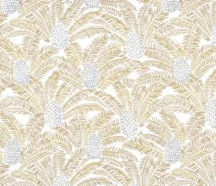 CASAMANCE_74742044_web