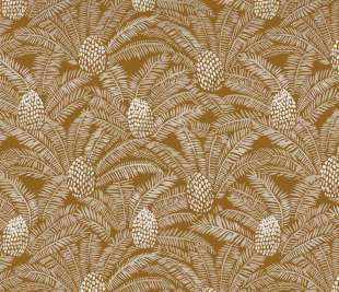 CASAMANCE_74742146_web