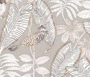 CASAMANCE_74752250_web