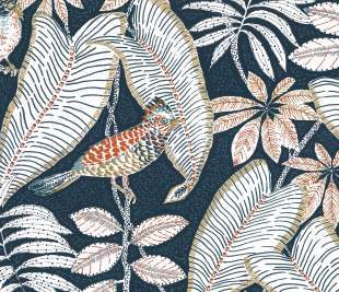 CASAMANCE_74752352_web