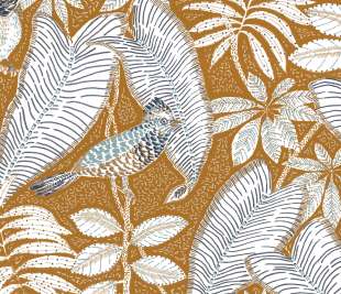 CASAMANCE_74752454_web