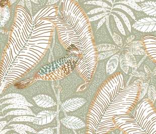 CASAMANCE_74752556_web