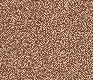 CASAMANCE_73902660_web