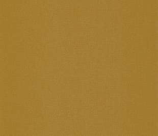 CASAMANCE_72122964_web