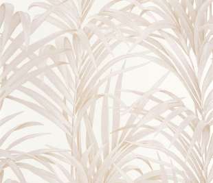 CASADECO_28921108_1_web