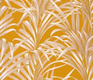 CASADECO_28922318_1_web