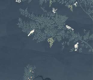 CASELIO_102046809_web