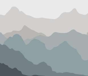 13713VE_web
