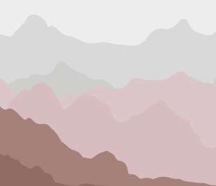 13714VE_web