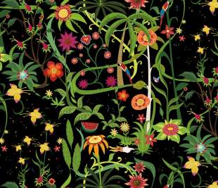 Ambiente-Frida_1_web