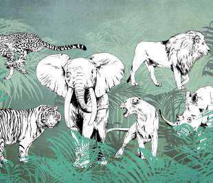 V0102-2_Wildlife_web