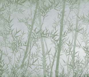 V0105-3_Bamboo_web