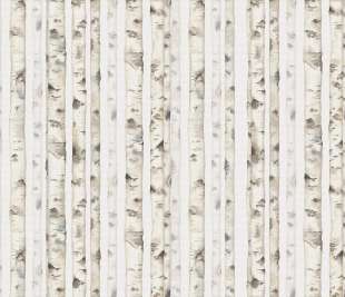 V0107-1_WhiteForest_web