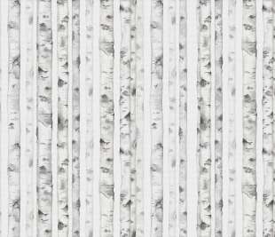 V0107-2_WhiteForest_web