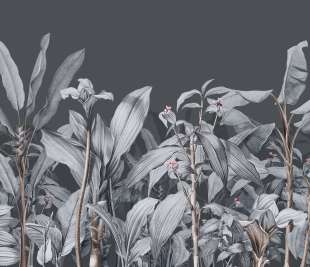 V0112-3_Palms-Jungle_web