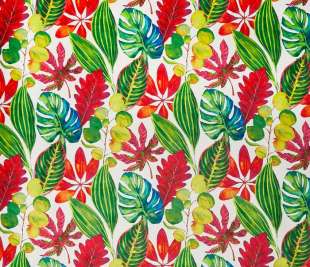 Tex_3938-522 bahamas tropical