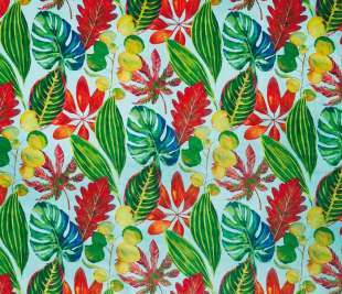 Tex_3938-676 bahamas watermelon