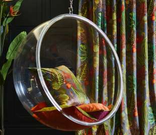 caribbean-5-(1)_crop