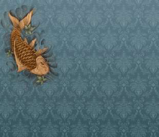 V0119-2_Koi-Fish_web