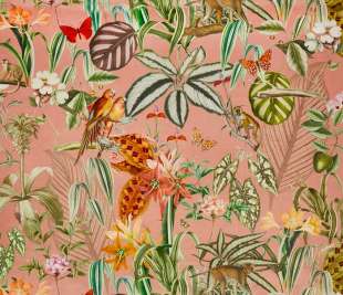 Tex_3939-237 barbados shell