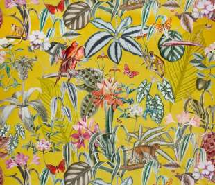 Tex_3939-524 barbados citron