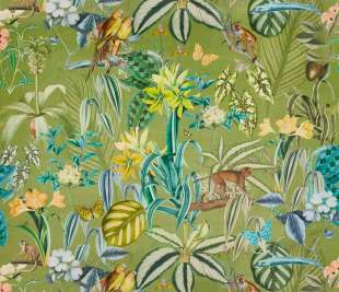 Tex_3939-627 barbados palm