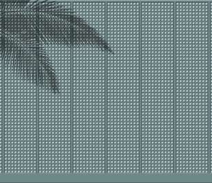 V0124-2_SummerShadow_web