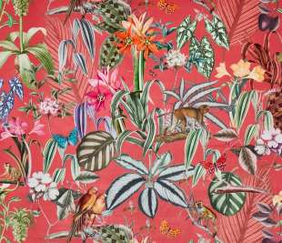 Tex_3939-676 barbados watermelon