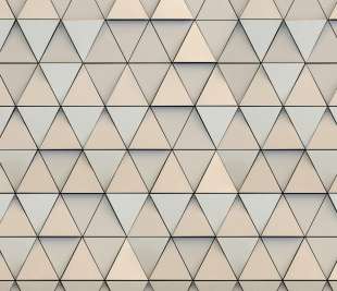 V0138-1_Triangular_web