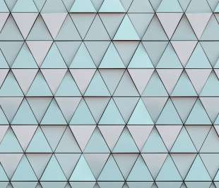 V0138-2_Triangular_web