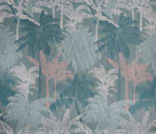 Tex_3943-676 st lucia watermelon