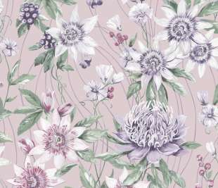 91322-Passiflora-Pink-Product_web