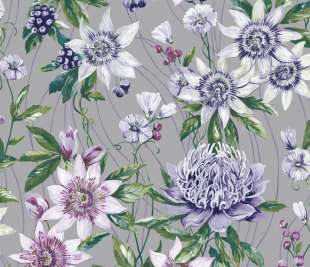 91323-Passiflora-Silver-Product_web
